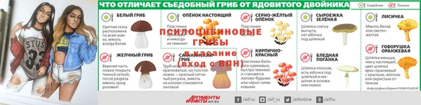spice Медвежьегорск