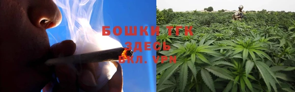 шишки Абдулино