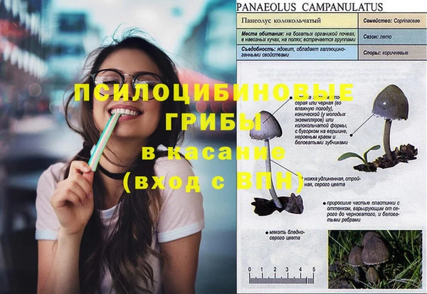 шишки Абдулино