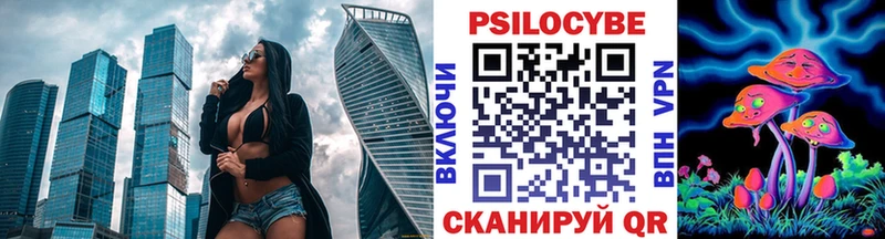 Псилоцибиновые грибы Psilocybine cubensis  Урус-Мартан 